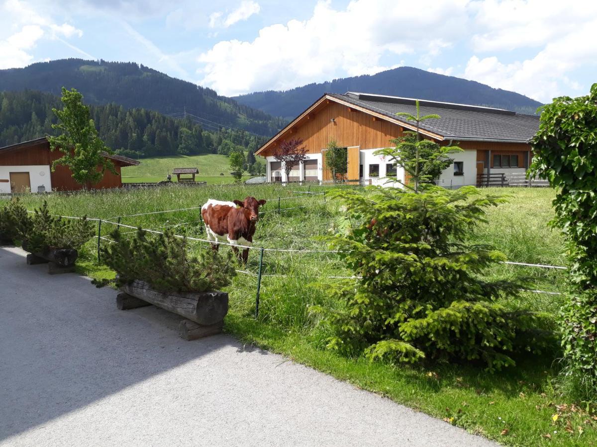 Landhaus Fingerhof Lägenhet Flachau Exteriör bild