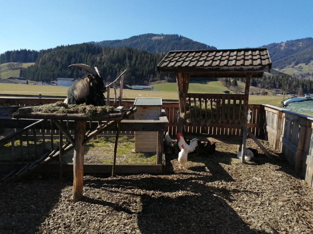 Landhaus Fingerhof Lägenhet Flachau Exteriör bild